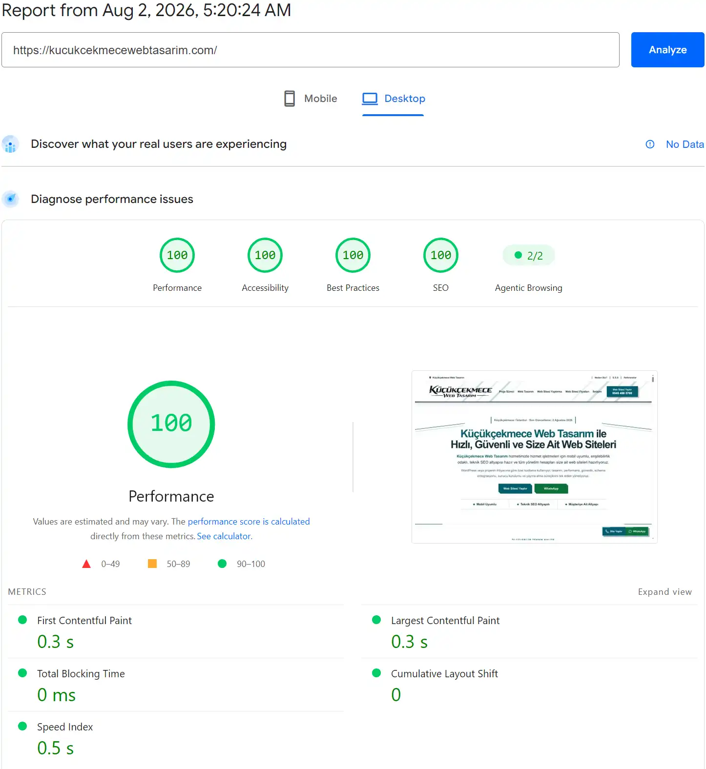 PageSpeed Insights masaüstü performans sonucu: 100 puan